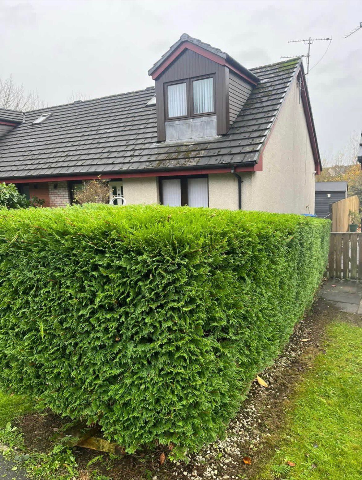 Roots & Lawns garden project in Ayrshire