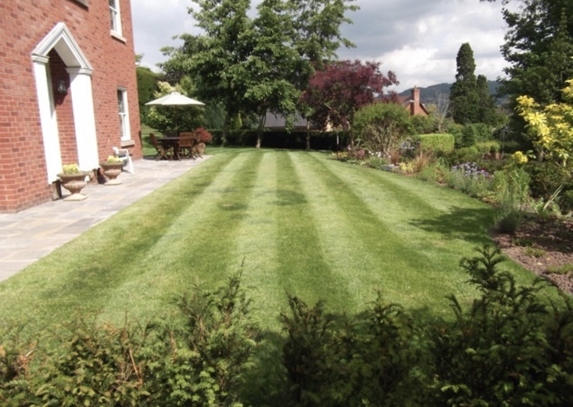Roots & Lawns garden project in Ayrshire