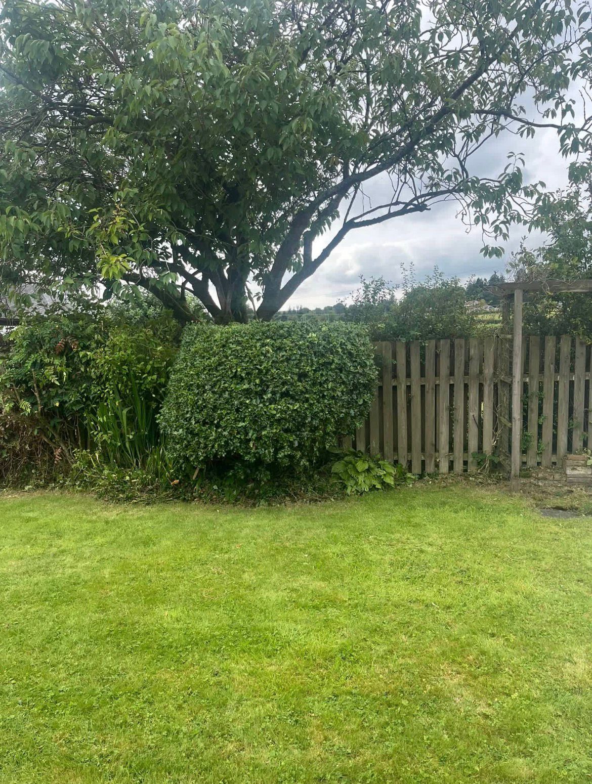 Roots & Lawns garden project in Ayrshire